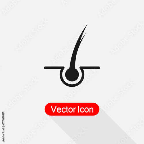 Hair Salon Icon, Hair Split Ends Icon, Hair Follicle Icon Vector Illustration Eps10