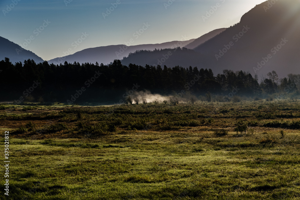 Mist above marshlands in early morning light