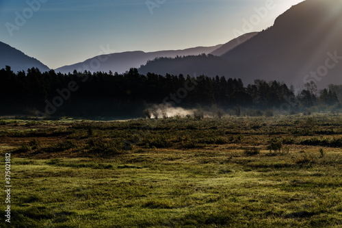 Obraz na płótnie Mist above marshlands in early morning light w salonie