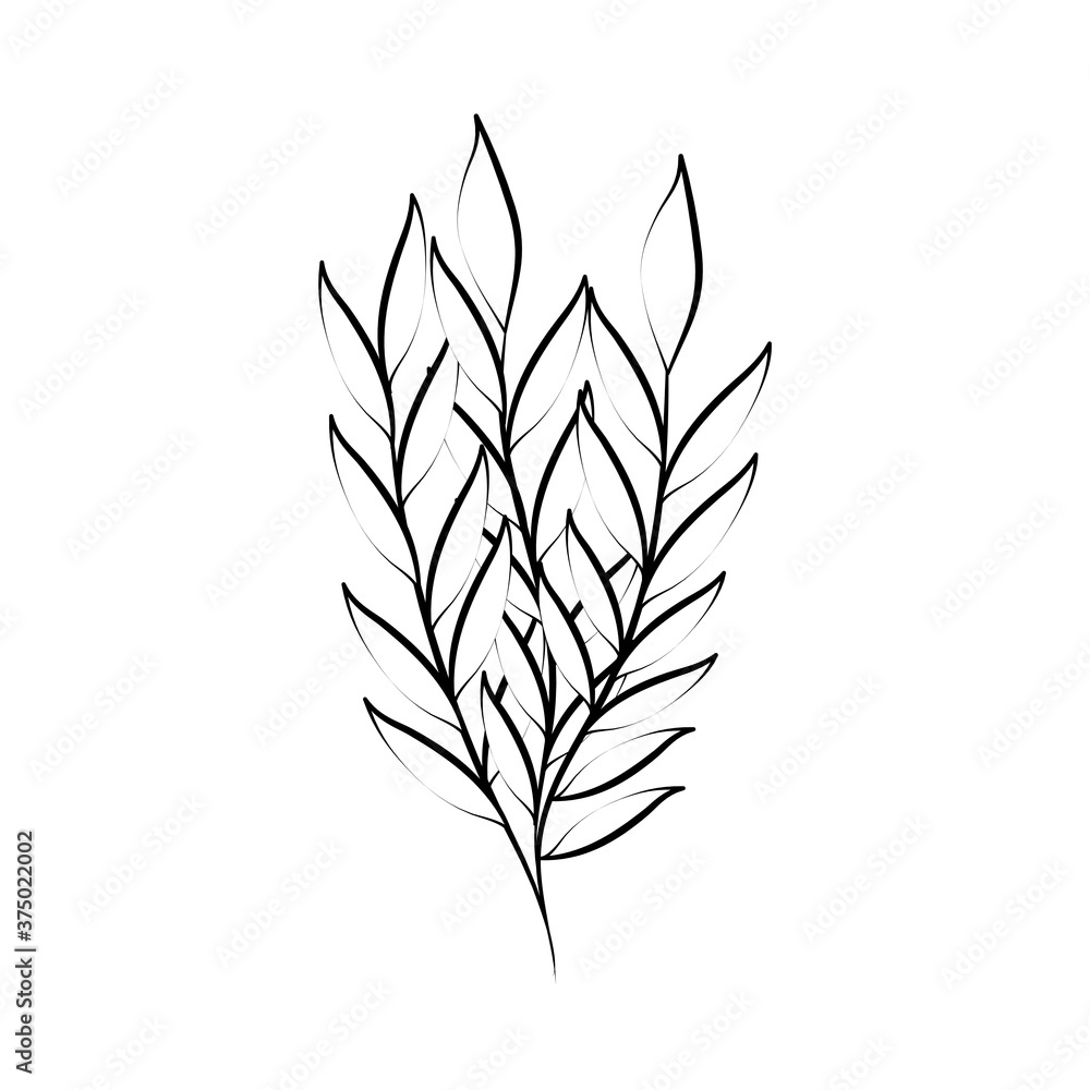 Obraz premium minimalist tattoo foliage leaves decoration line art