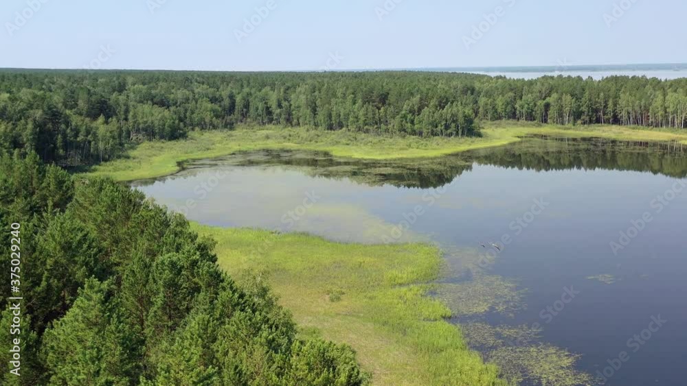 Aerial video of forest boggy lake in the Karakansky pine forest near the shore of the Ob reservoir. Aerial video of forest boggy lake in the Karakansky pine forest near the shore of the Ob reservoir.