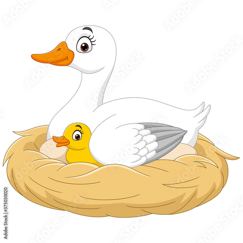 Cartoon mother duck with her baby in the nest