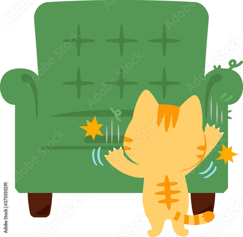 ソファで爪を研ぐ猫