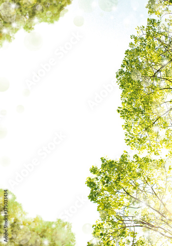 green_background_05