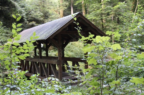 Puente de  madera con forma de choza con techado de dos aguas enmedio del bosque rodeado por arboles y arbustos photo