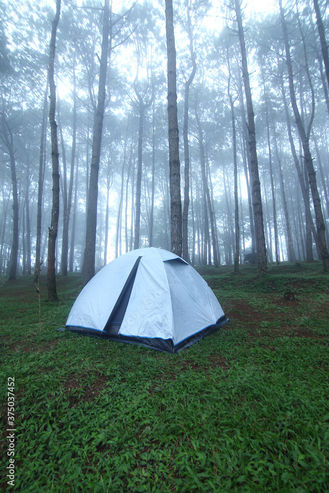 Φωτογραφία Outdoor camping tent among pine forest and misty in rainy season at Phu Hin Rong Kla national park, Pitsanulok province in Thailand