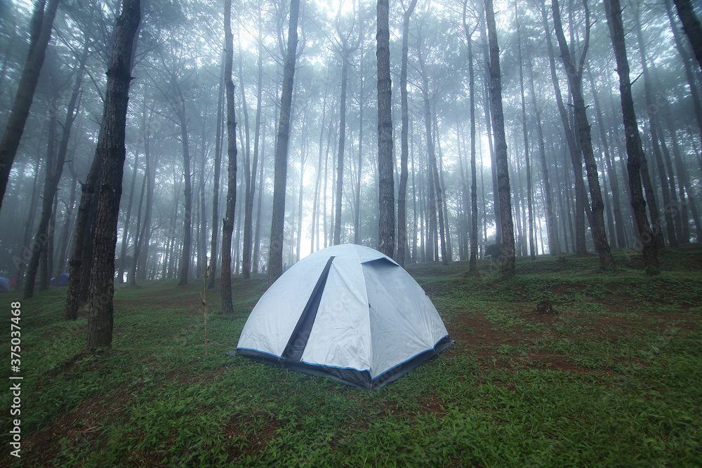 Φωτογραφία Outdoor camping tent among pine forest and misty in rainy season at Phu Hin Rong Kla national park, Pitsanulok province in Thailand