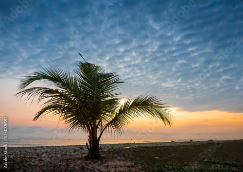 Ocean at dawn with palm tree silhouettes with a background of  the golden glow of sunrise.