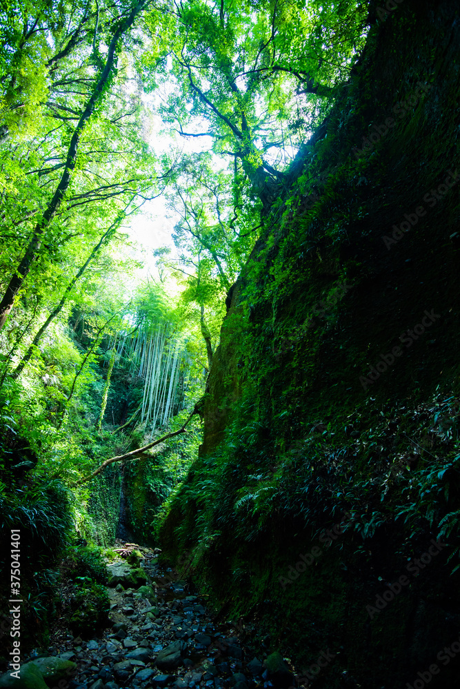 Obraz premium 伊尾木洞