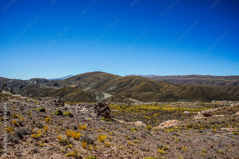 Noroeste Argentino. Cordillera de los Andes