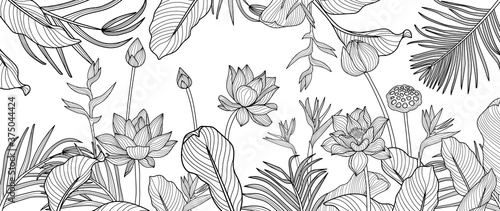 Luxury black and white  art deco wallpaper. lotus  background vector. Floral pattern with  tropical flowers, monstera plant, Jungle plants line art on white background. .