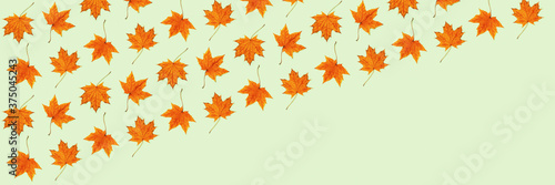 Pattern made of dry autumn leaves on light green background.