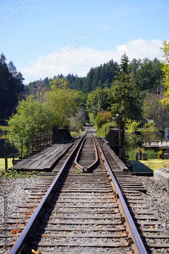 railway in the woods