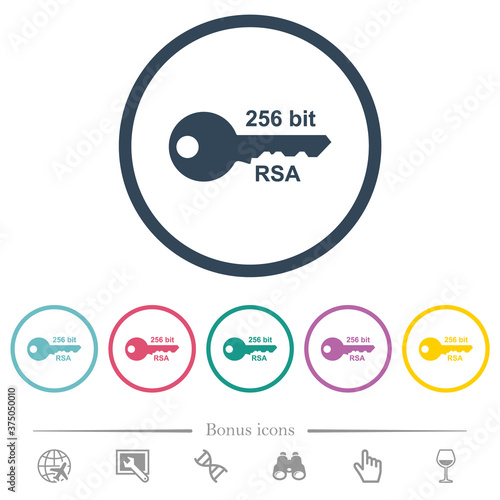 256 bit rsa encryption flat color icons in round outlines