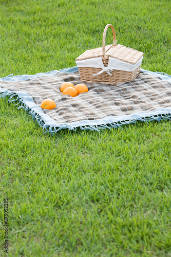 picnic basket on grass