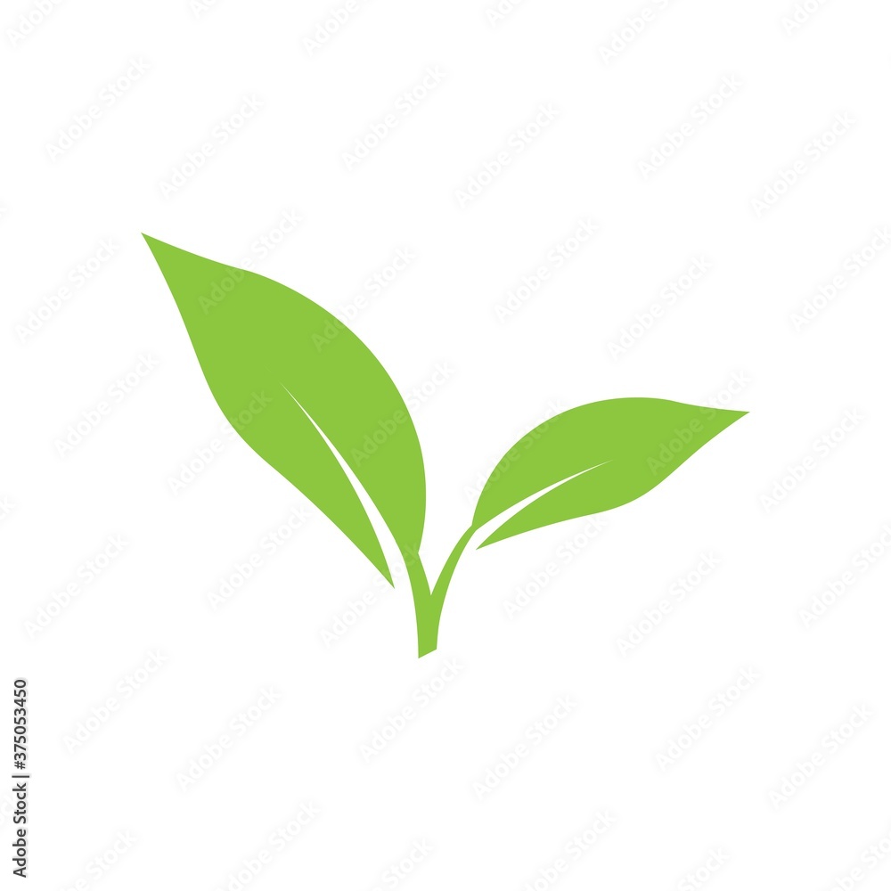 Fototapeta leaf logo