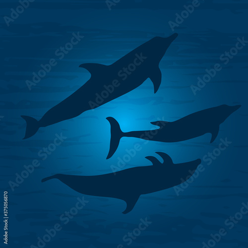 The underwater world with dolphins