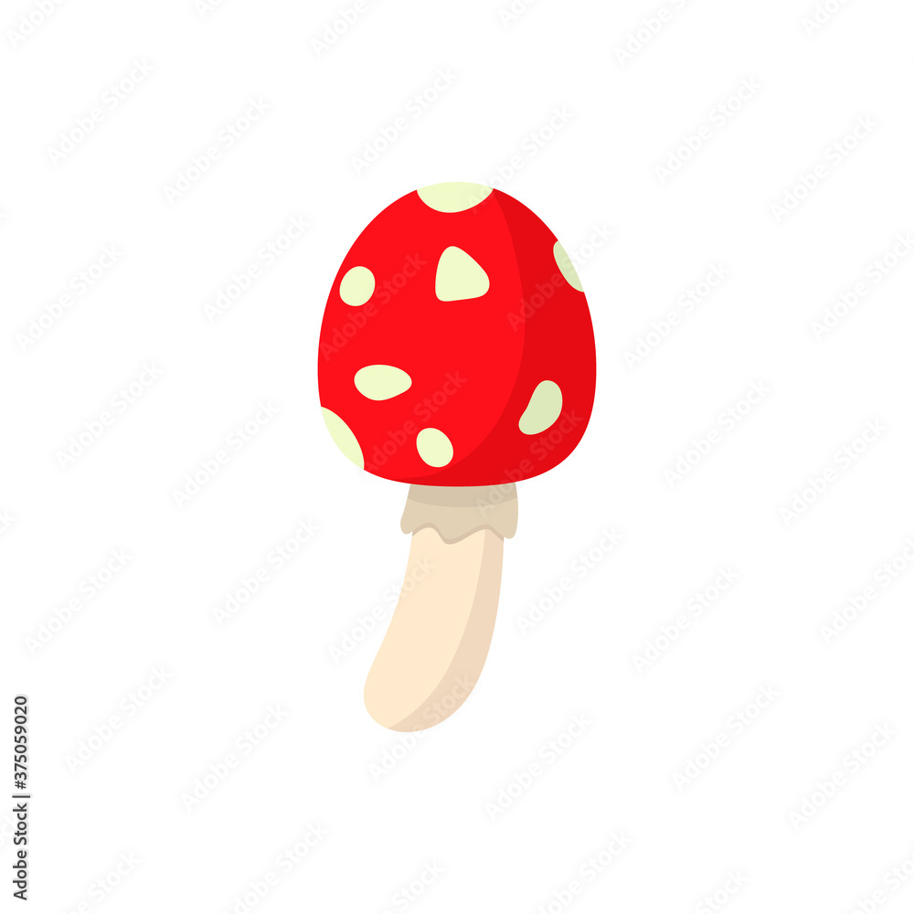 Amanita mushroom isolated on white background.