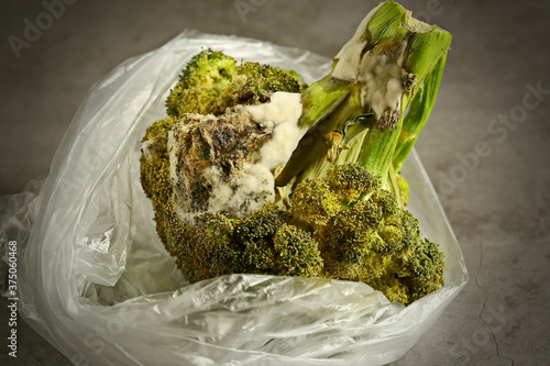 rotten broccoli is in a plastic bag on a dark background. Concept. Polluting to store vegetables in these packets. Copy space.