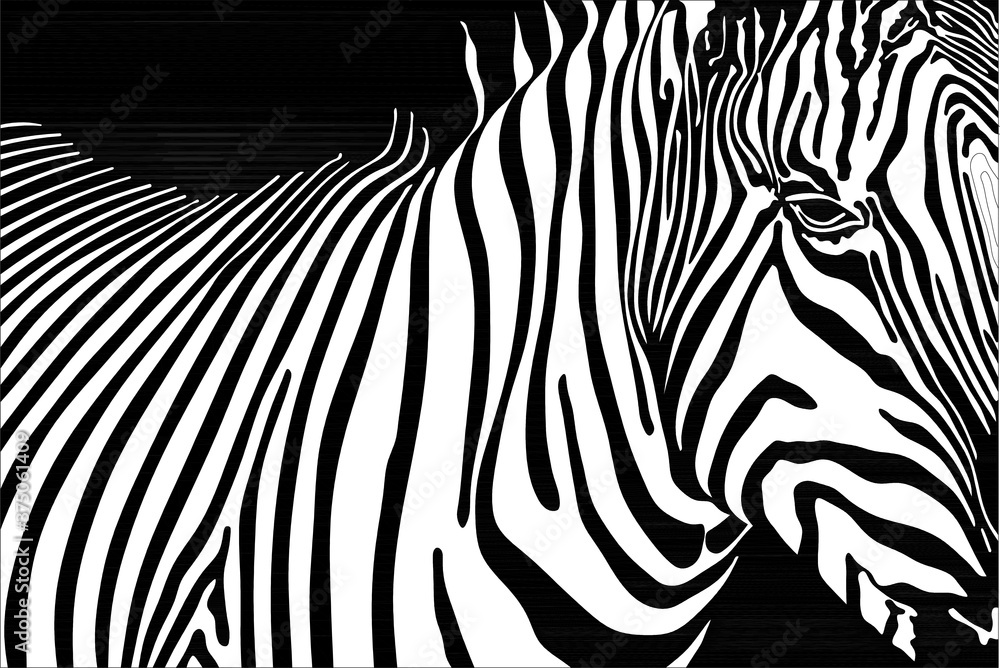 Fototapeta premium ABSTARCTGEOMETRIC PATTERNS