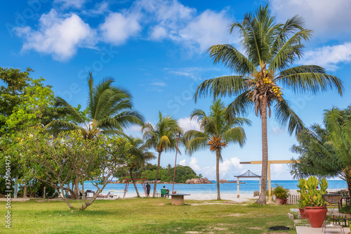 Beautiful tourist beach with palm trees in Praslin island, Seychelles