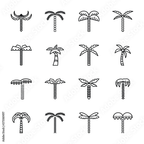 Beech Tree Icons Set 