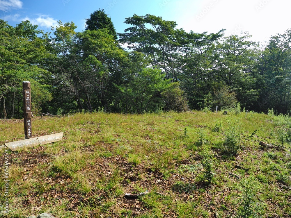 Fototapeta premium 神奈川県･城ヶ尾山頂上