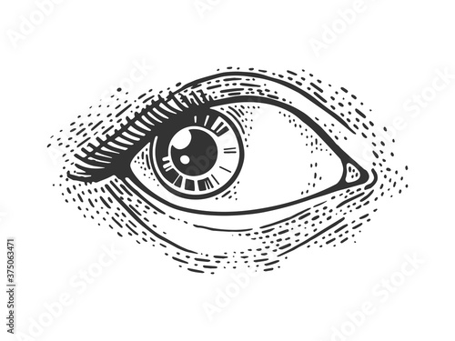 Woman eye sketch engraving vector illustration. T-shirt apparel print design. Scratch board imitation. Black and white hand drawn image.