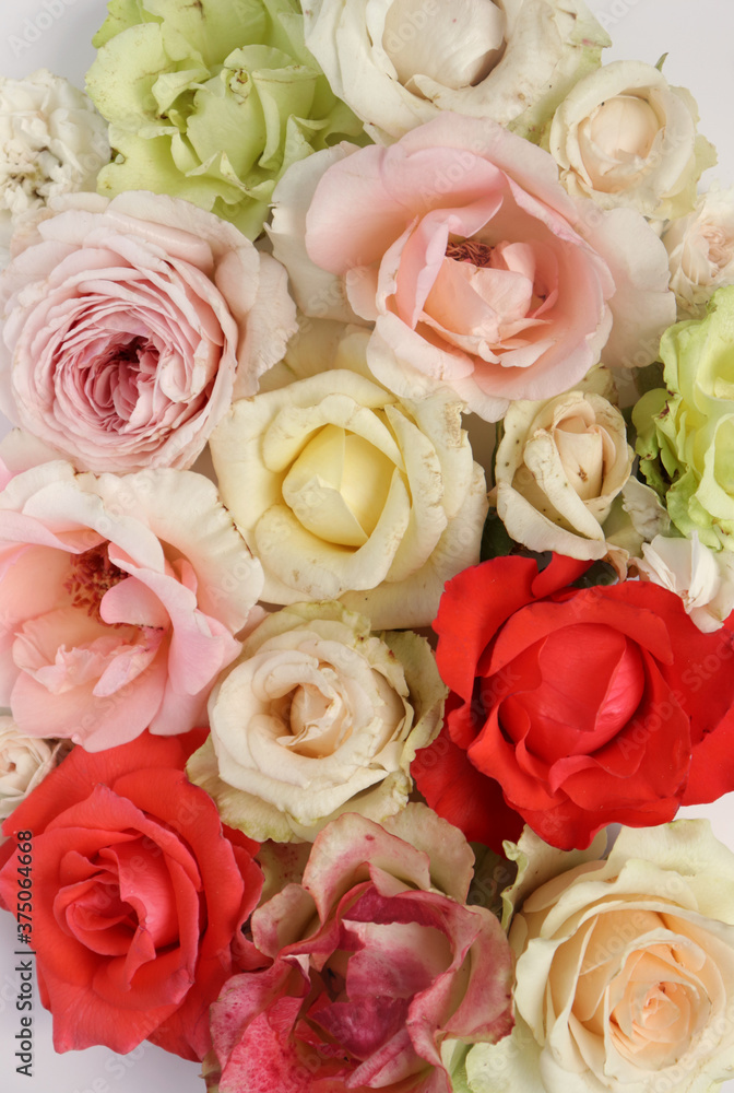 Fresh flower background, floral pattern, fresh roses flat lay photography, instagram content, different flowers wallpaper Fresh flower background, floral pattern, fresh roses flat lay photography, instagram content, different flowers wallpaper