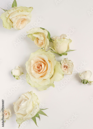 Fresh flower background  floral pattern  fresh roses flat lay photography  instagram content  different flowers wallpaper