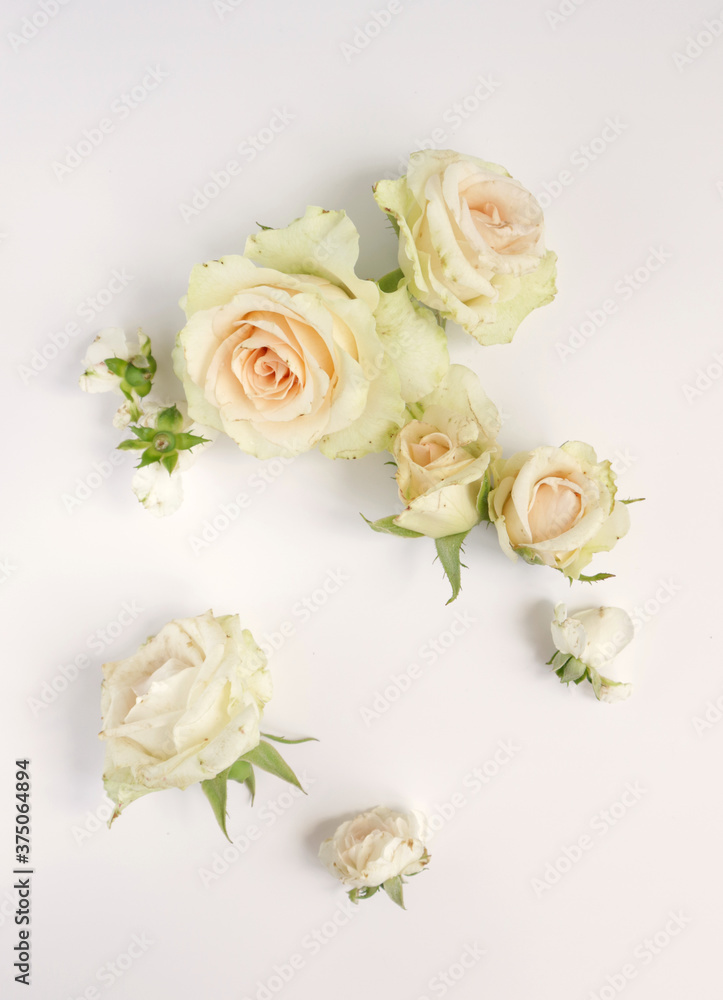 Fresh flower background, floral pattern, fresh roses flat lay photography, instagram content, different flowers wallpaper Fresh flower background, floral pattern, fresh roses flat lay photography, instagram content, different flowers wallpaper