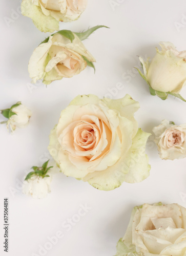 Fresh flower background, floral pattern, fresh roses flat lay photography, instagram content, different flowers wallpaper © Ekateryna