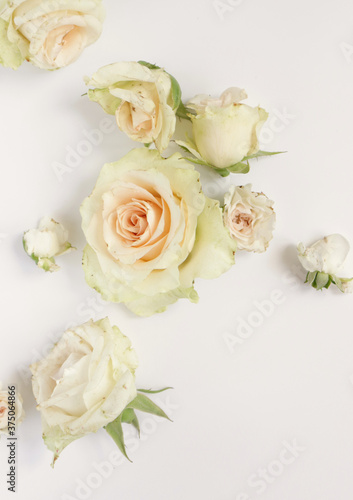 Fresh flower background, floral pattern, fresh roses flat lay photography, instagram content, different flowers wallpaper