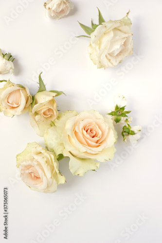 Fresh flower background, floral pattern, fresh roses flat lay photography, instagram content, different flowers wallpaper
