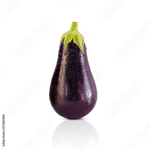 one eggplant on isolated white background