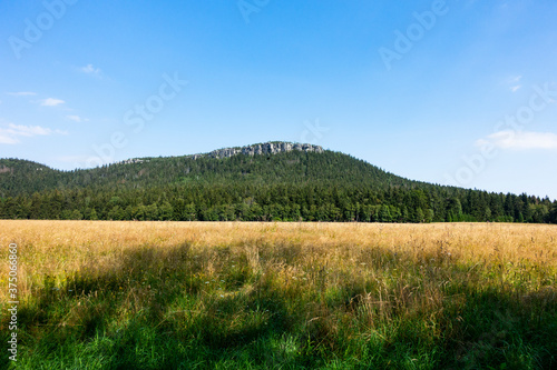 Góra wzgórze pagórek pole łąka las