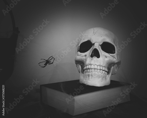 A halloween theme photo with a skeleton skull on top of ancient old books covered in cobwebs and spiders. Black and white image with copy space