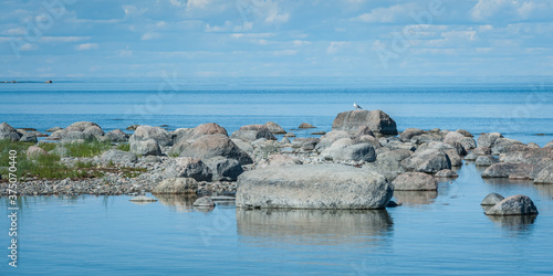 Wild rocky coastline of the Baltic sea in summer. The Gulf of Finland, Estonia.