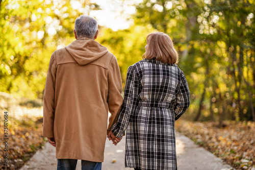 Romantic senior couple is walking in park in autumn.