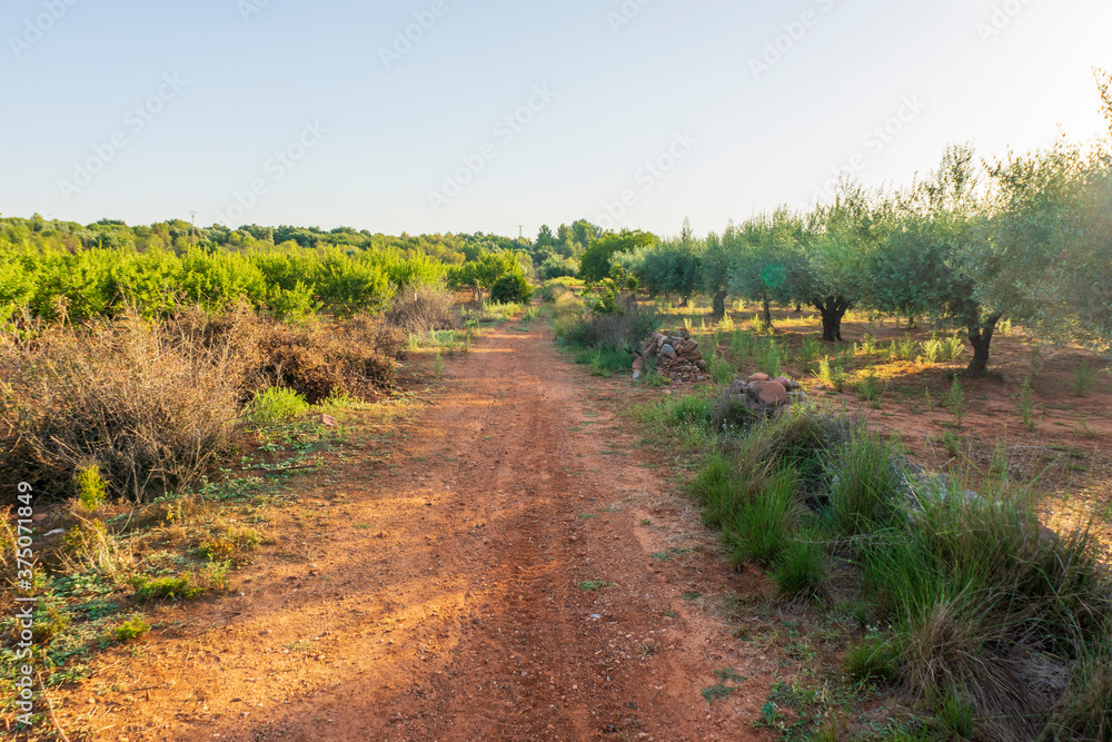 Sunrise along the Camino de Santiago and via Augusta de Castellon Sunrise along the Camino de Santiago and via Augusta de Castellon