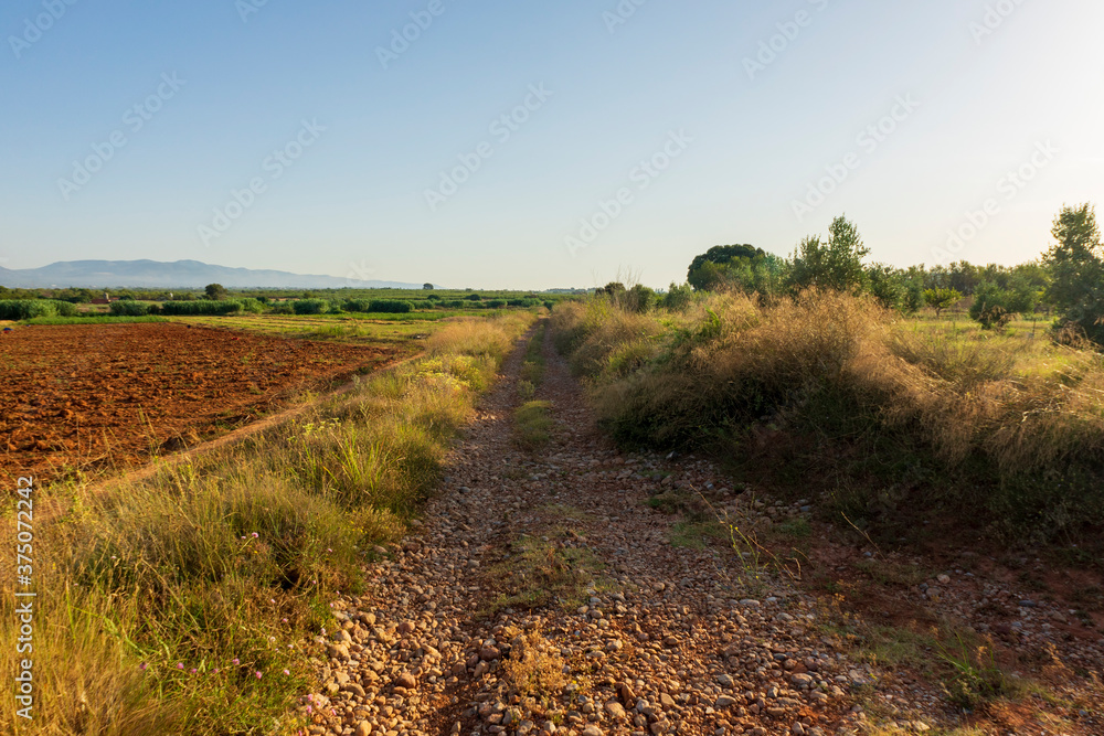 Fototapeta premium Sunrise along the Camino de Santiago and via Augusta de Castellon