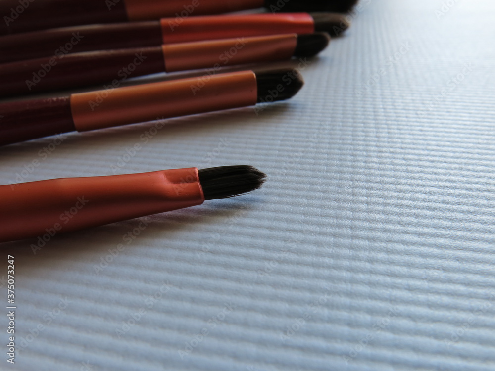 Beauty set for makeup in the white background