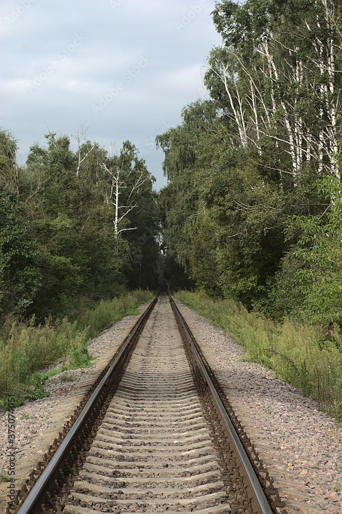 Fototapeta premium old railway line in the forest park