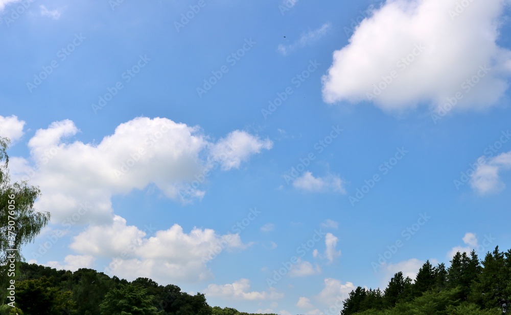 夏 緑と青空 爽やか 風景
夏 緑と青空 爽やか 風景