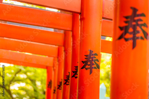 Canvas Print Architecture details in the Kiyomizu Kannon-do in Ueno Onshi Park, Tokyo, Japan