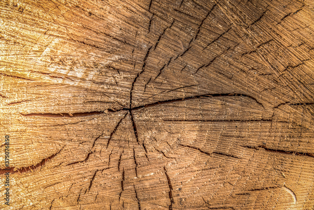 Log background close-up