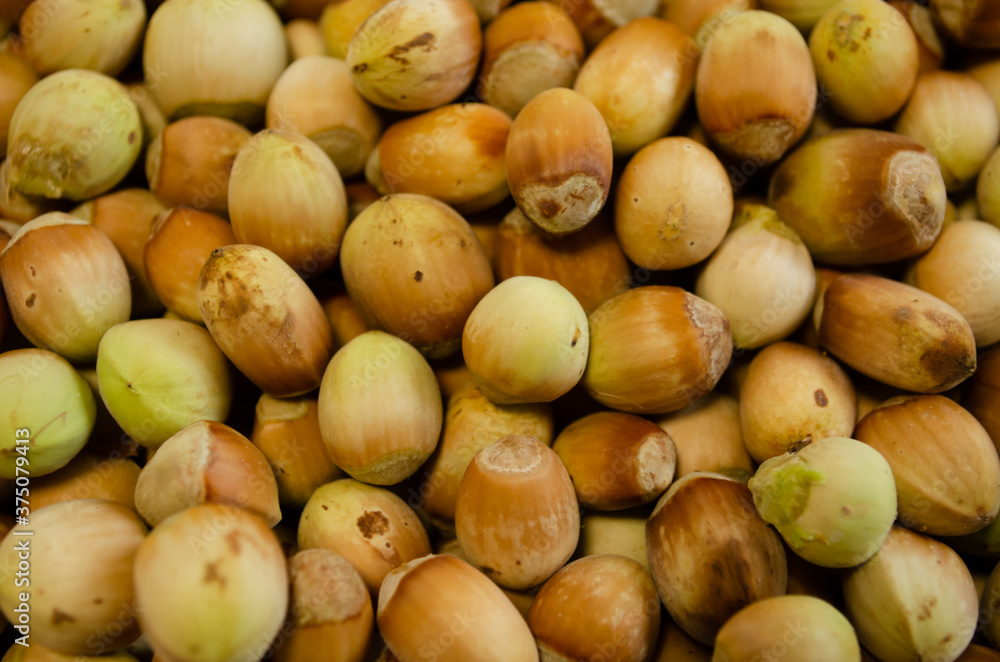 hazelnuts background, fresh nuts closeup hazelnuts background, fresh nuts closeup