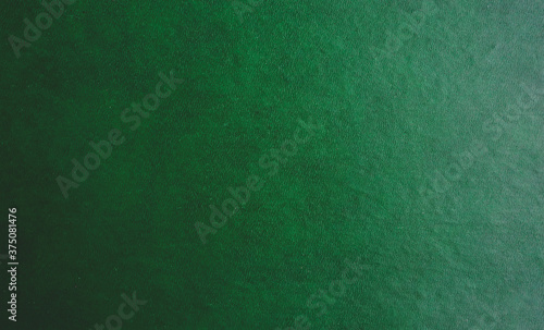 texture of vintage leather book cover with green pattern for background and your text