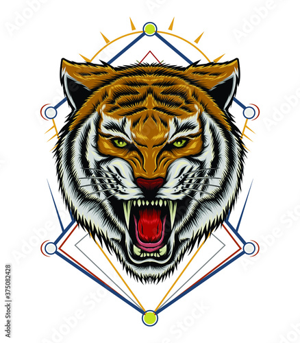 Tiger head illustration. Vector tiger. design for T shirt , mascot, logo team, sport, metal printing, wall art, sticker