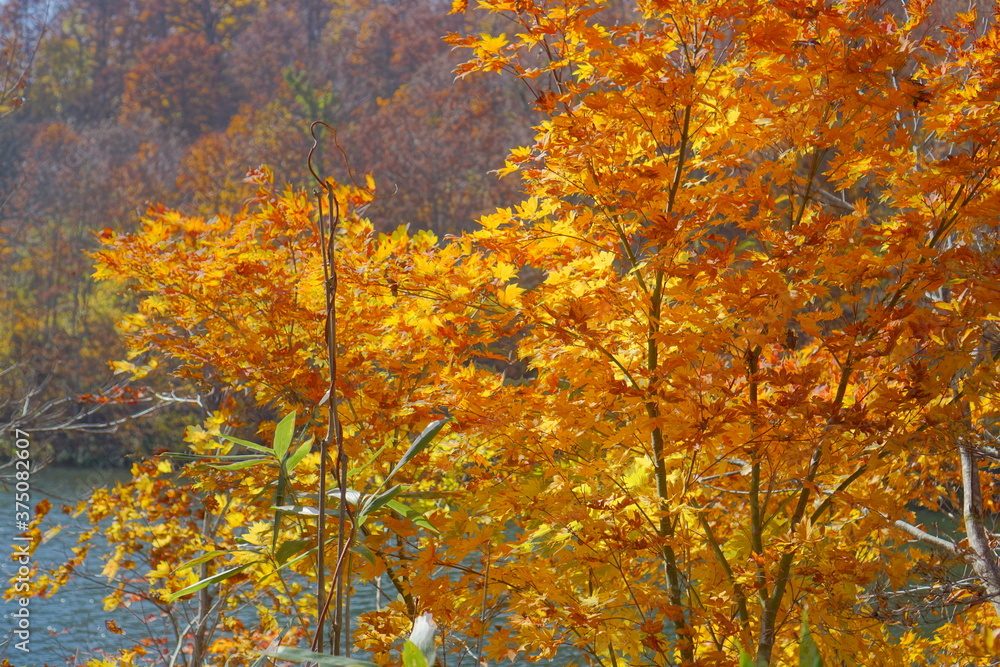 Beautiful autumn landscape in Northern Alps of Japan, Otari, Nagano